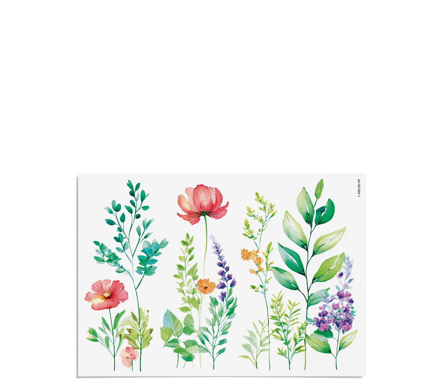 Fensterbilder | Blumenwiese