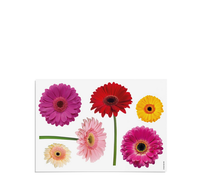Fensterbilder | Gerbera