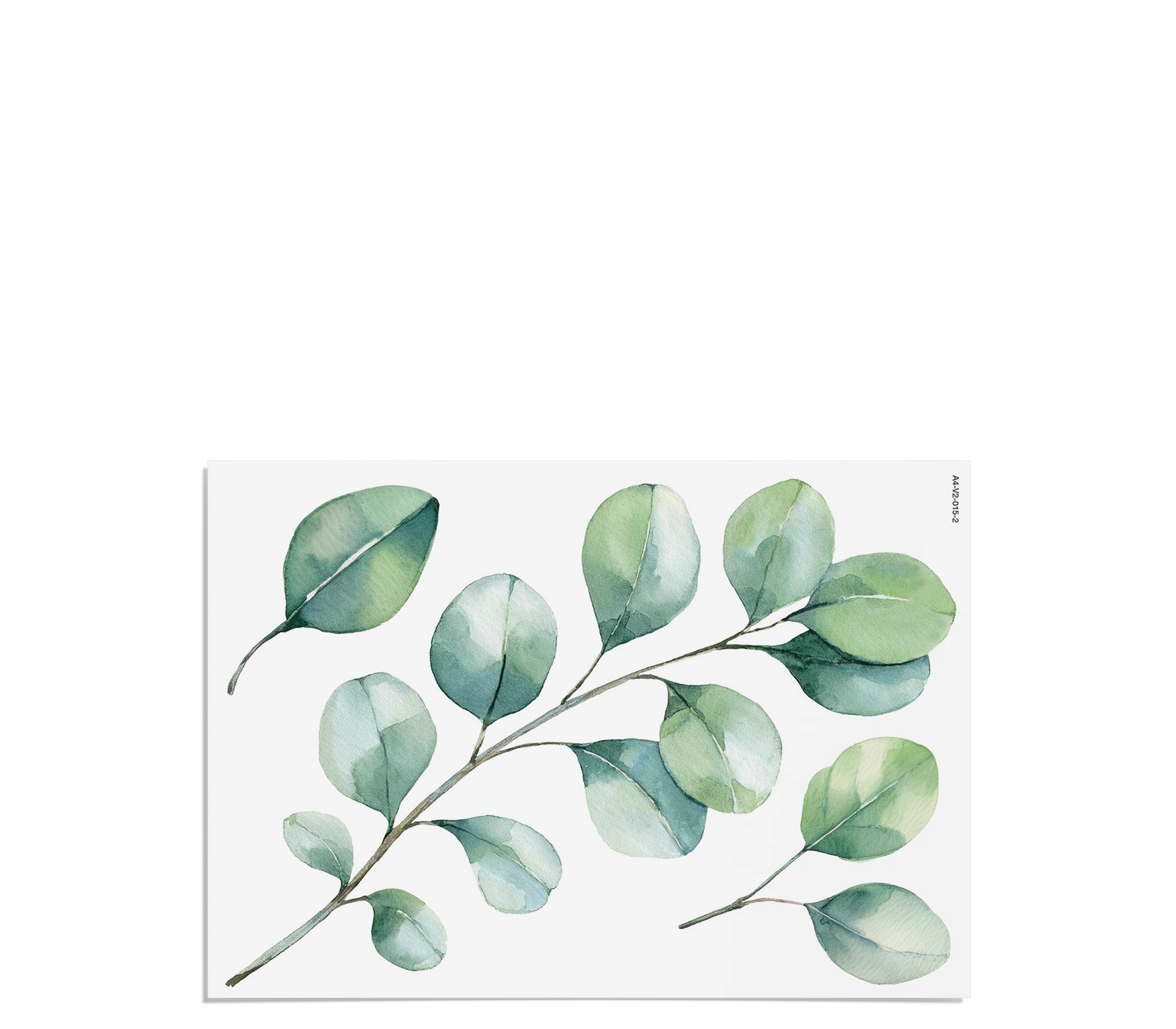 Fensterbilder | Eukalyptus