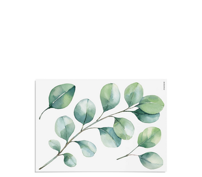 Fensterbilder | Eukalyptus