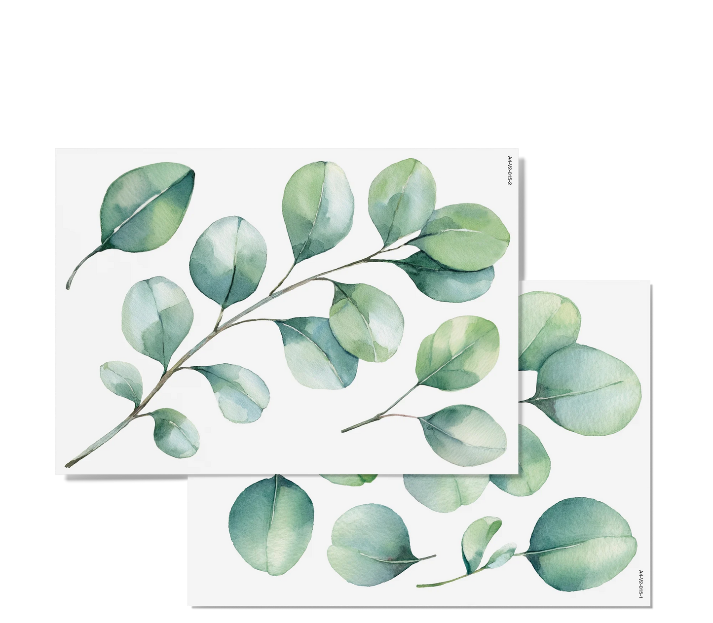 Fensterbilder | Eukalyptus
