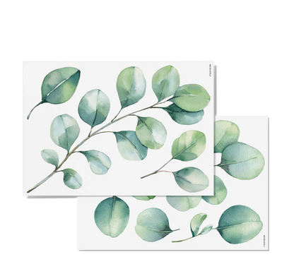 Fensterbilder | Eukalyptus