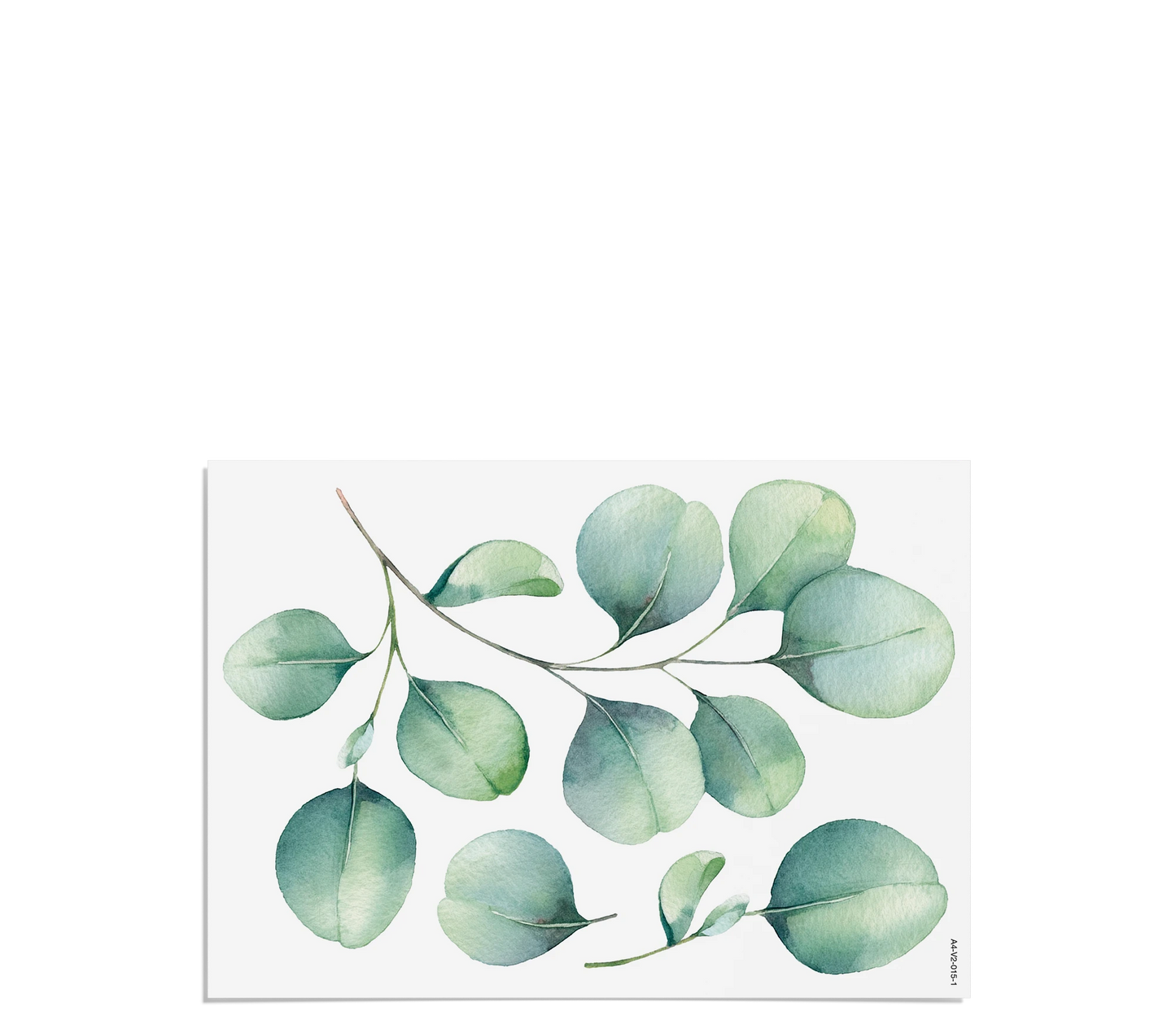 Fensterbilder | Eukalyptus