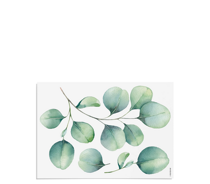 Fensterbilder | Eukalyptus