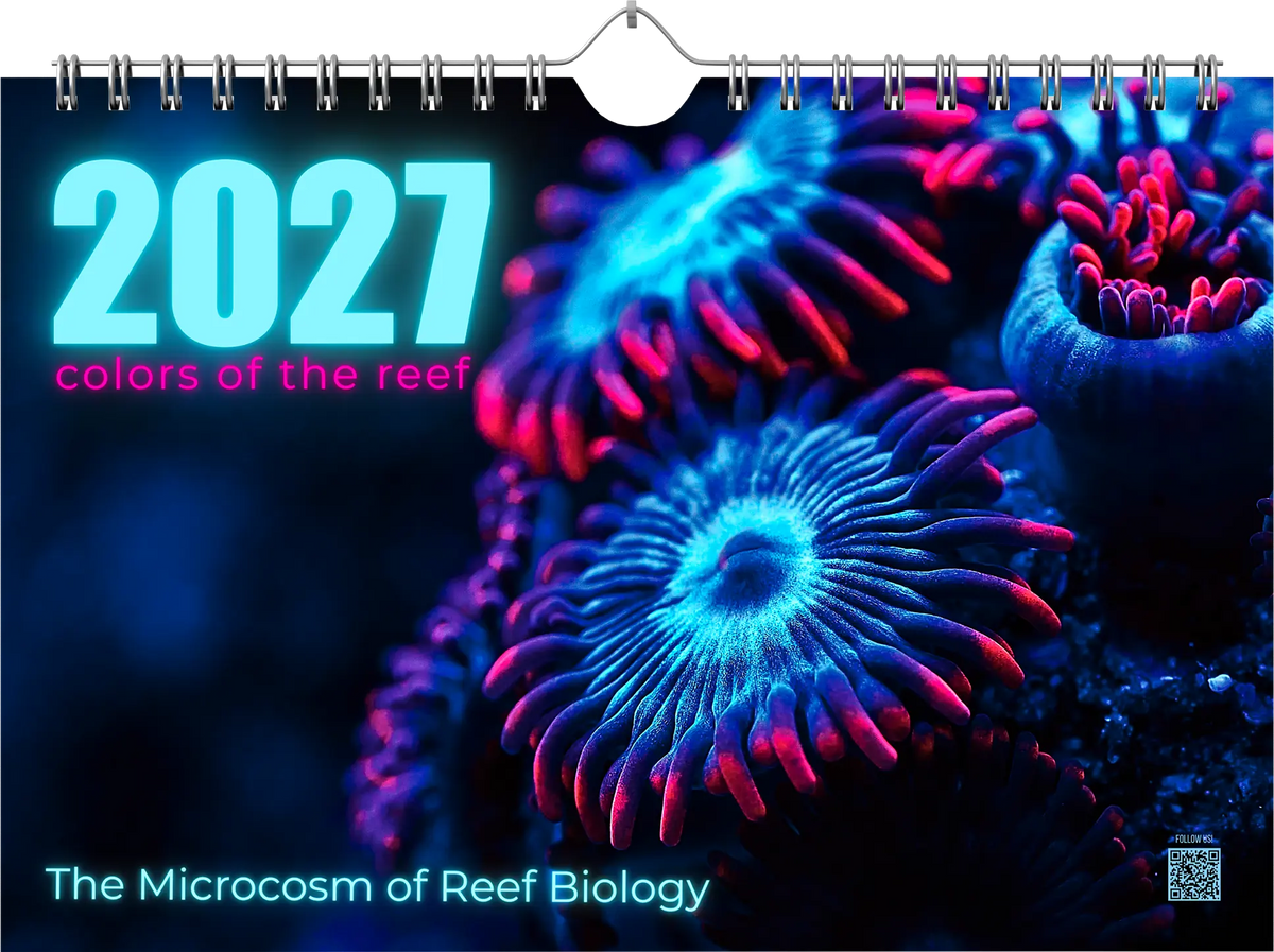 COLORS OF THE REEF